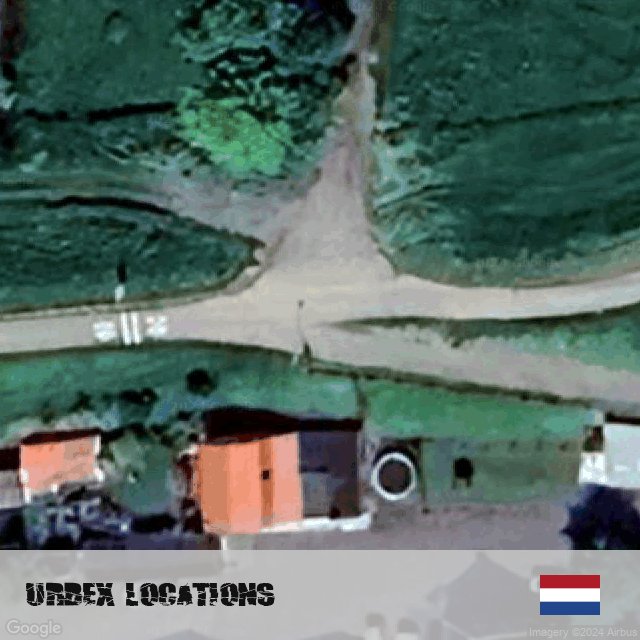 Netherlands - chicken road slot