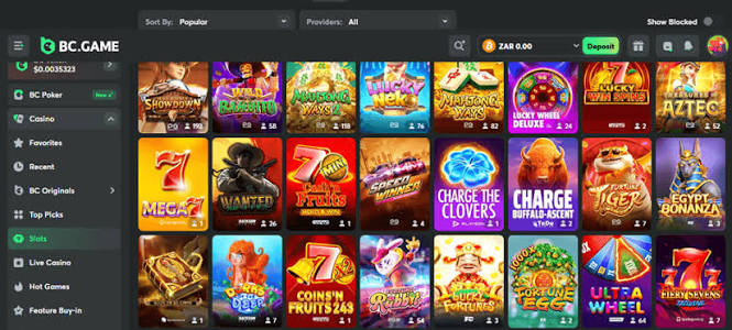 Discover the Future of Gaming with the BC.CO Mobile App